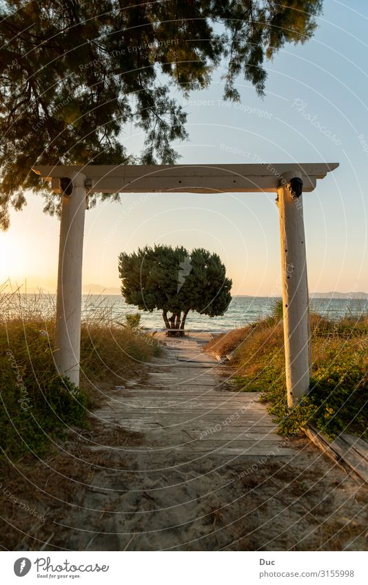 Sunset on Kos Island harmonisch ruhig Meditation Ferien & Urlaub & Reisen Tourismus Ausflug Abenteuer Freiheit Sommer Sommerurlaub Strand Meer Insel Sport