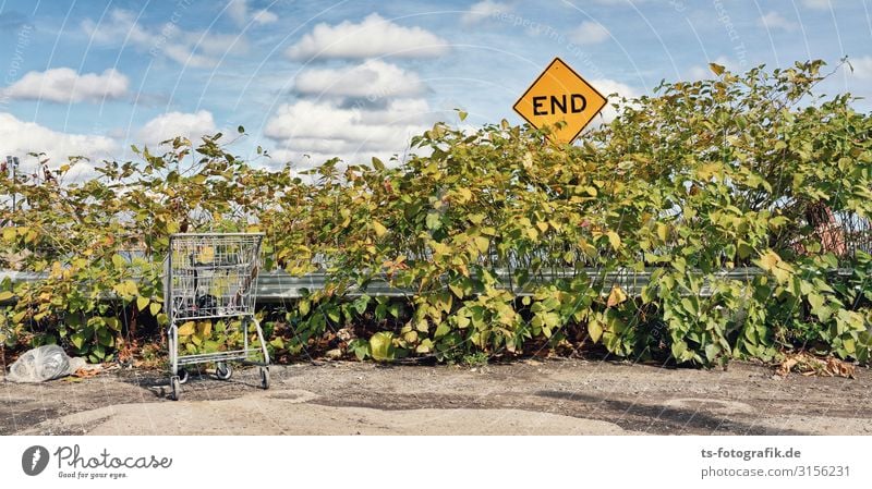 Ende der Konsumgesellschaft kaufen Umwelt Natur Himmel Wolken Klimawandel Schönes Wetter Pflanze Sträucher Blatt Grünpflanze Einkaufswagen Zeichen