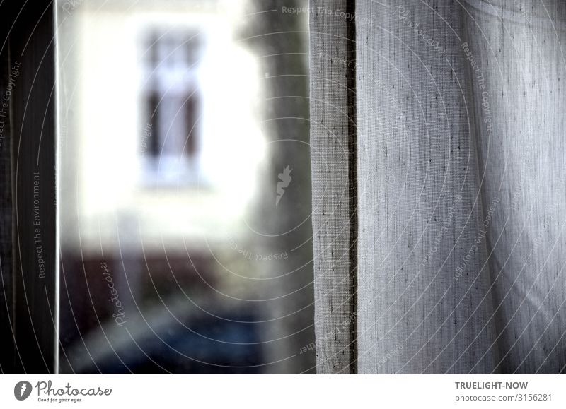 Einen Blick nach draußen werfen Haus Mauer Wand Fassade Fenster Gardine braun gelb grau weiß Neugier Interesse Kommunizieren Kontakt Kontrolle Perspektive