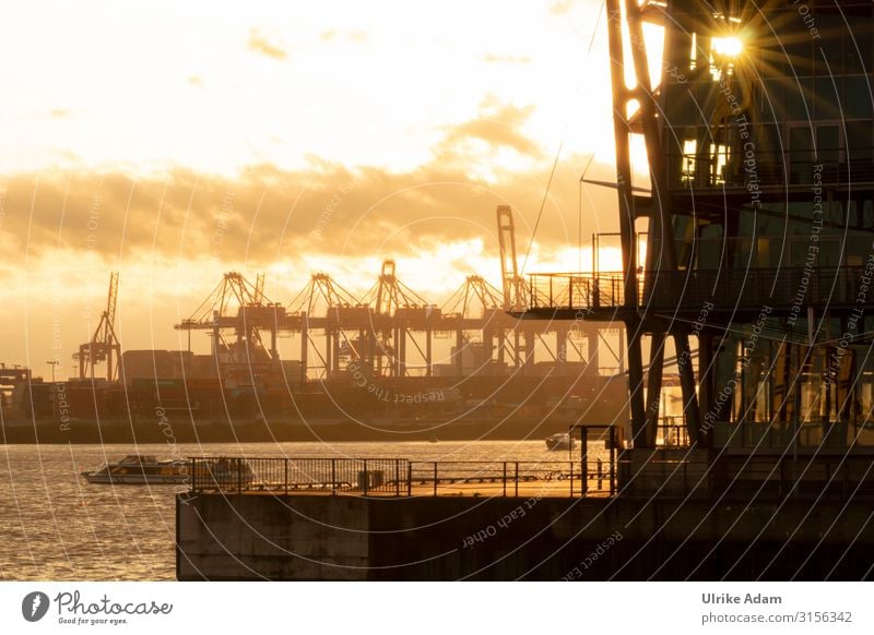 Abendsonne im Hafen Umwelt Wasser Wolken Schönes Wetter Hamburg Hamburger Hafen Deutschland leuchten gigantisch orange Güterverkehr & Logistik Wasserfahrzeug