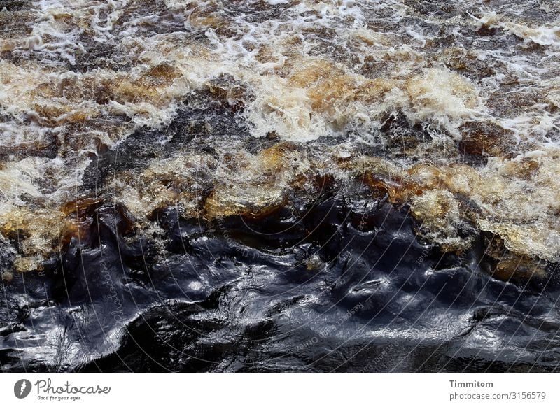 River Wharfe Ferien & Urlaub & Reisen Umwelt Natur Urelemente Wasser Großbritannien Yorkshire natürlich braun gelb schwarz weiß Gefühle Kraft Fluss Farbfoto