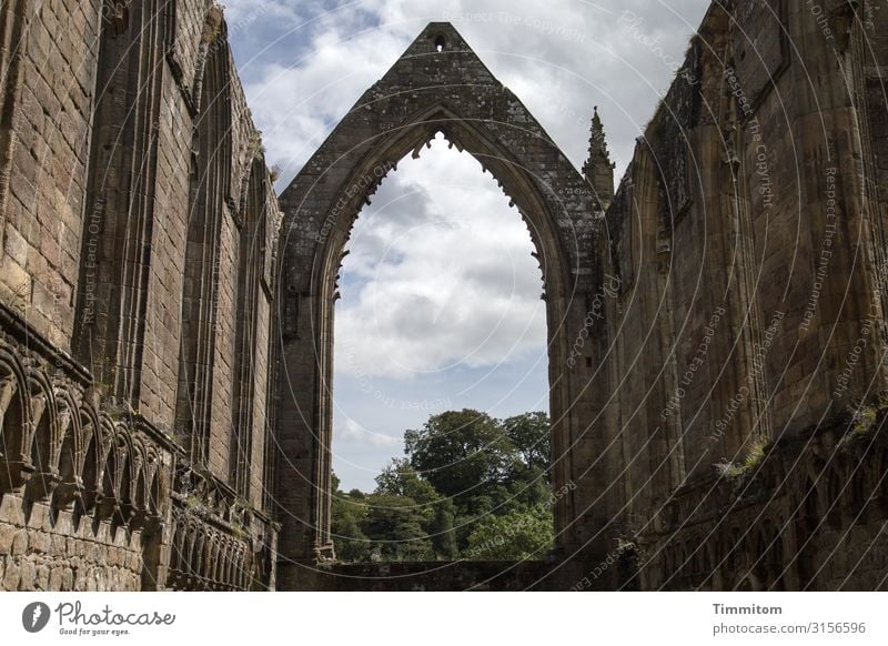 Bolton Abbey Ferien & Urlaub & Reisen Himmel Wolken Pflanze Baum Park Großbritannien Yorkshire Kirche Ruine Mauer Wand Sehenswürdigkeit Stein ästhetisch kaputt