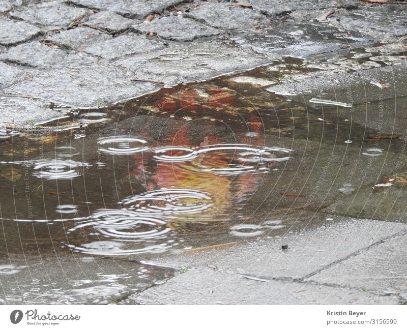 Schimmer im Regen Ausflug Feierabend Umwelt Landschaft Erde schlechtes Wetter Stadt Stadtzentrum Pflastersteine Straße Stein Wasser dunkel kalt nass Klima Natur