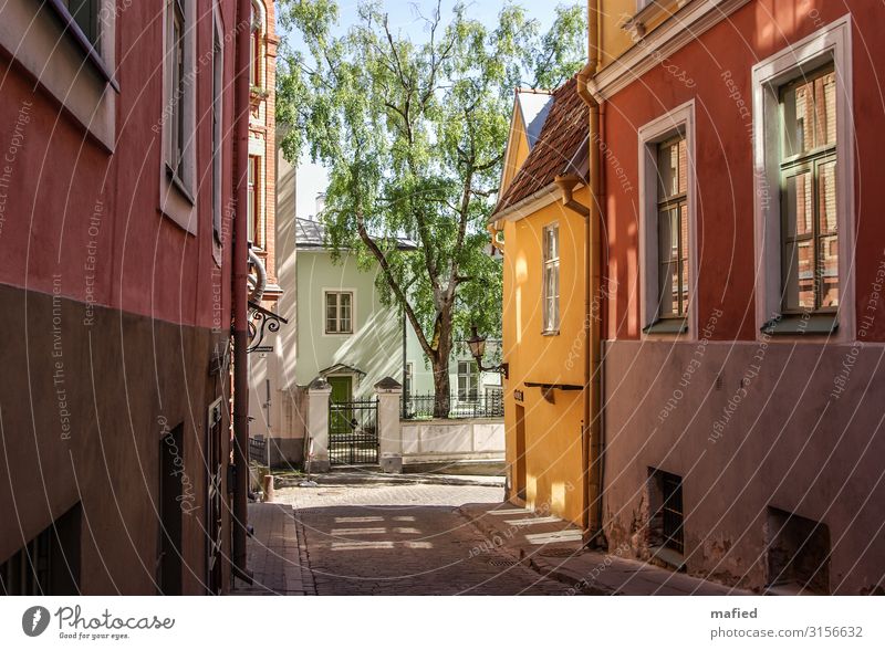 Tallinn im Mai Ausflug Städtereise Estland Hauptstadt Hafenstadt Stadtzentrum Haus Mauer Wand Fassade Fenster entdecken Freundlichkeit blau gelb grün rot