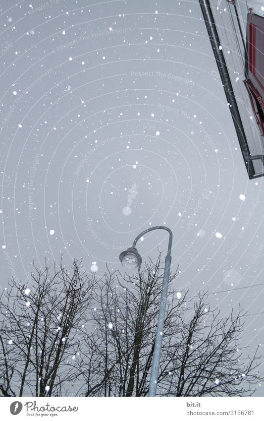 Der erste Schnee, ist der Schönste. Weihnachten & Advent Silvester u. Neujahr Himmel Winter Klima Klimawandel Wetter Eis Frost Haus Architektur kalt nass blau