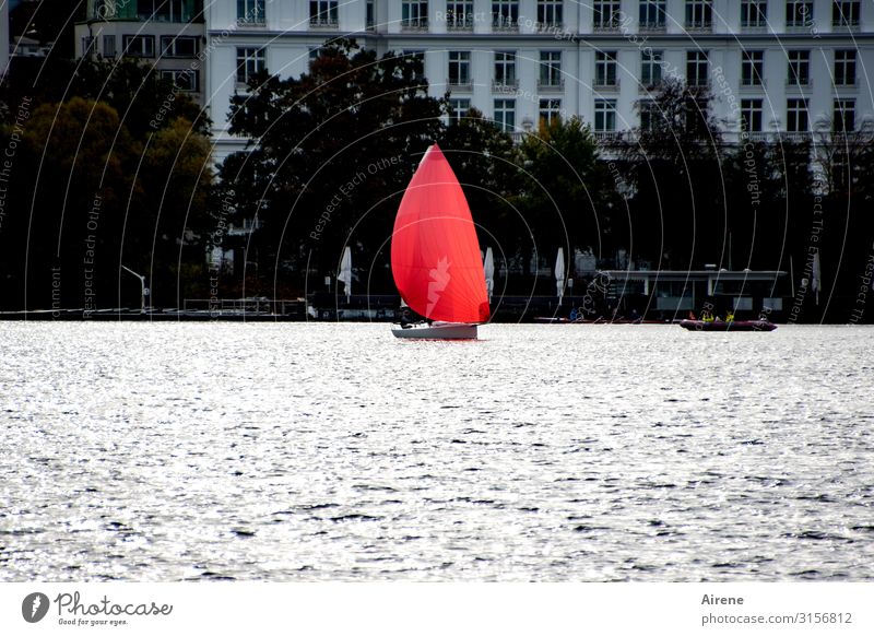 Mut zur Farbe | UT Hamburg Seeufer Stadt Hafenstadt bevölkert Fassade Binnenschifffahrt Segelboot Bewegung ästhetisch außergewöhnlich elegant frisch