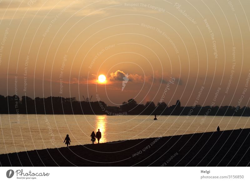 Silhouetten von flanierenden Menschen  in der Abendsonne am Elbstrand in Hamburg 3 Umwelt Natur Landschaft Himmel Wolken Herbst Schönes Wetter Flussufer Elbe