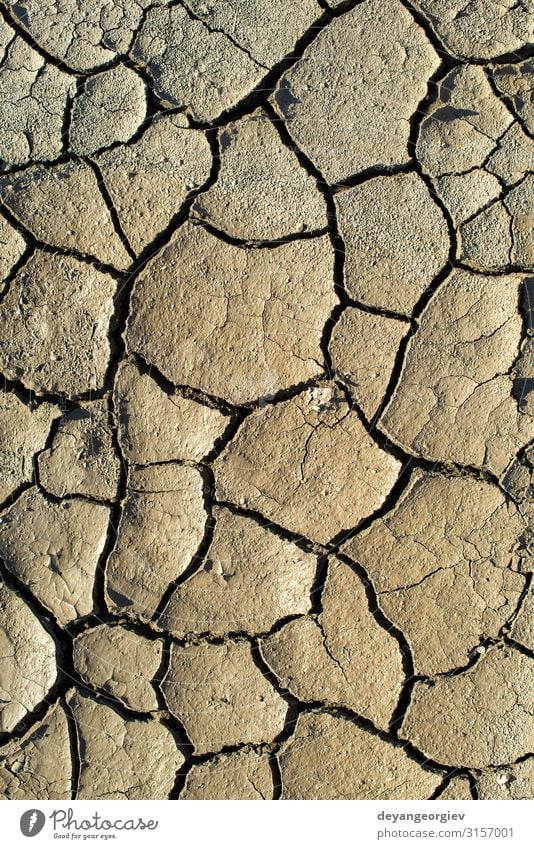 Gerissene Bodentextur. Harte Schatten und Sonne. Getrockneter Boden. Sommer Umwelt Natur Erde Klima Dürre heiß natürlich braun Riss Konsistenz trocknen