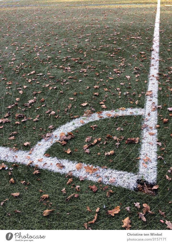 Fußballfeld Ecke Freizeit & Hobby Spielen Fußballplatz Herbst Blatt Kunstrasen Schilder & Markierungen Linie authentisch außergewöhnlich dreckig groß sportlich