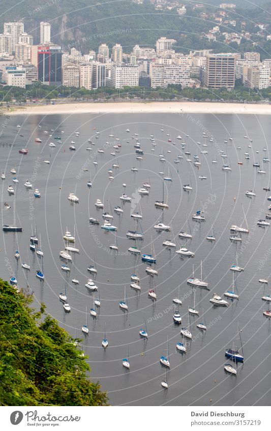 Hafen von Rio de Janeiro Ferien & Urlaub & Reisen Tourismus Sightseeing Städtereise Landschaft Urwald Wellen Küste Strand Bucht Meer Stadt Stadtrand