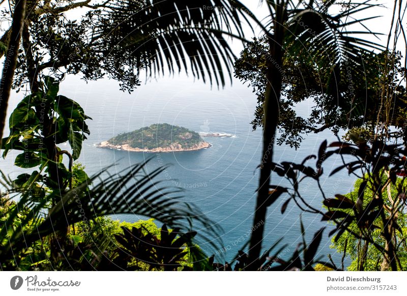 Einsame Insel Ferien & Urlaub & Reisen Tourismus Abenteuer Ferne Expedition Sommerurlaub Natur Landschaft Pflanze Tier Schönes Wetter Baum Blatt Wald Urwald