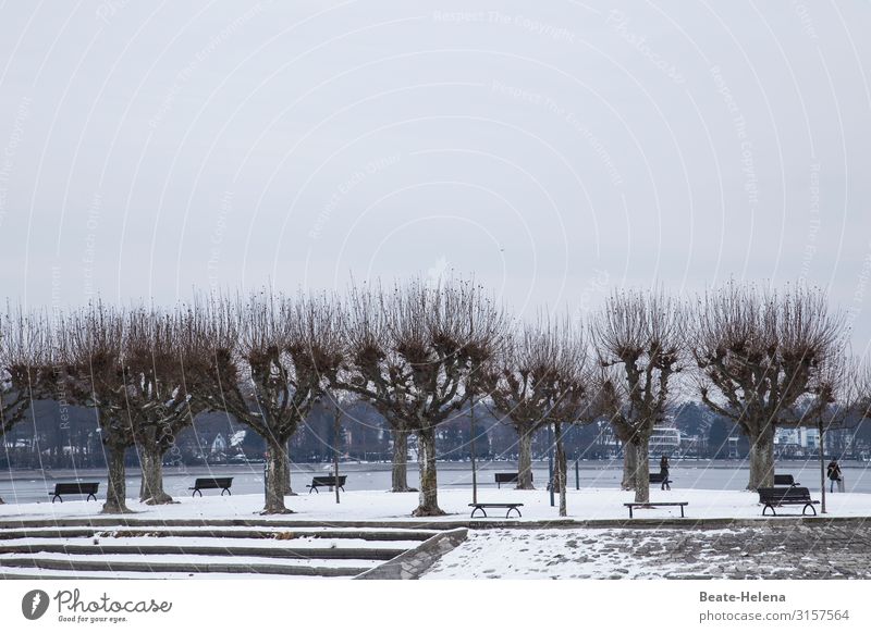 Winterfrische Wellness Freizeit & Hobby Schnee wandern 2 Mensch Landschaft Himmel Wetter Eis Frost Baum Küste Saarbrücken Fußgänger Straße Bank Flussufer