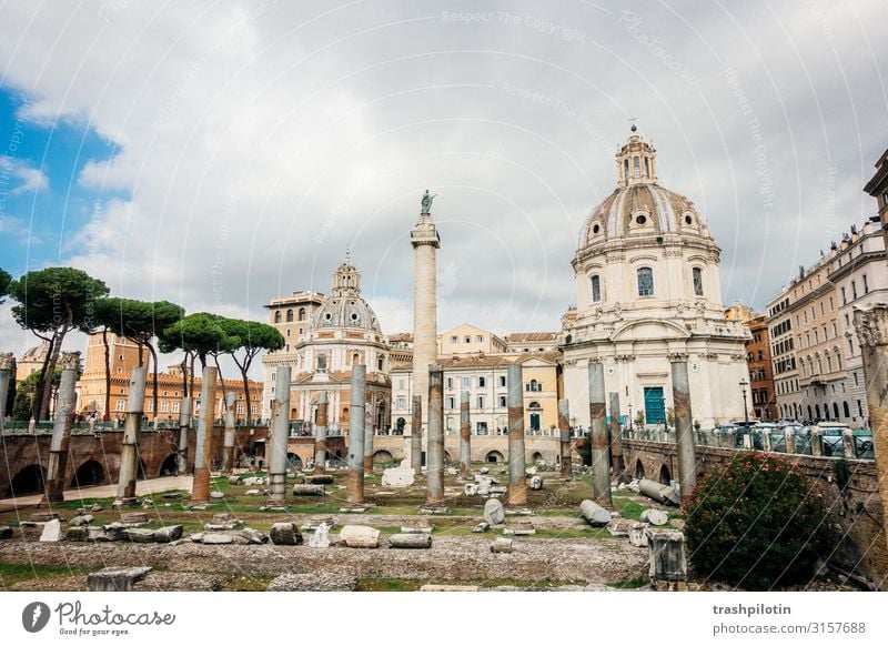 Forum Romanum Italien Europa Hauptstadt Altstadt Bauwerk Gebäude Architektur Fassade Sehenswürdigkeit Wahrzeichen Denkmal Ferien & Urlaub & Reisen Ausgrabungen