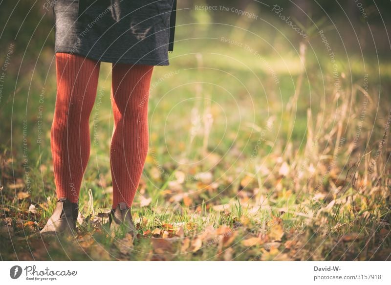 nostalgisch im Herbst Mensch feminin Junge Frau Jugendliche Erwachsene Leben 1 13-18 Jahre 18-30 Jahre Kunst Umwelt Natur Klima Klimawandel Schönes Wetter Wiese