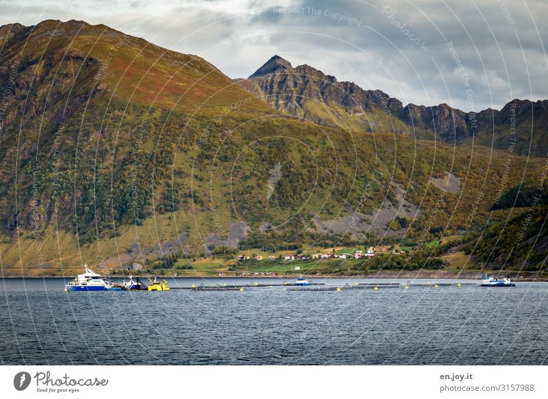 Noch mehr Gegend Ferien & Urlaub & Reisen Tourismus Ausflug Ferne Kreuzfahrt Umwelt Natur Landschaft Wolken Herbst Hügel Berge u. Gebirge Küste Fjord Insel