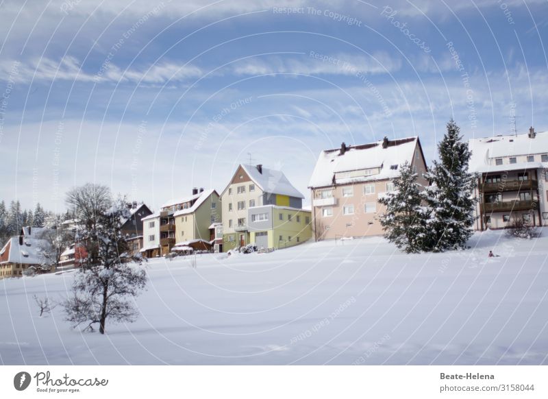 verschneites Schwarzwalddorf Gesundheit Umwelt Natur Landschaft Himmel Wolken Winter Schnee Baum Schönwald Dorf Haus Erholung frieren glänzend Blick