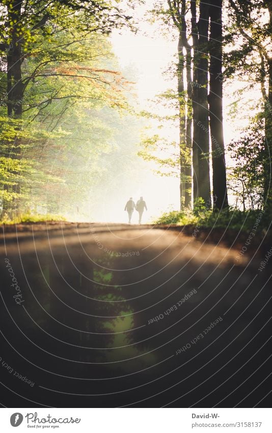 gemeinsam Zeit verbringen Ausflug Abenteuer Ferne Mensch maskulin feminin Frau Erwachsene Mann Paar Partner Leben 2 Umwelt Natur Herbst Schönes Wetter Wald