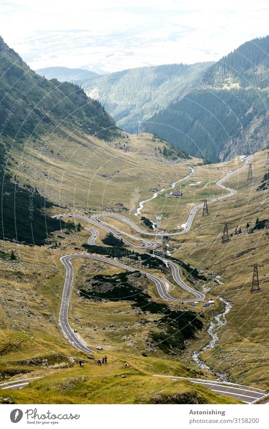 Transfagarasan 4 Umwelt Natur Landschaft Pflanze Luft Himmel Sommer Wetter Baum Blume Sträucher Berge u. Gebirge Südkarpaten Karpaten Schlucht Rumänien Verkehr