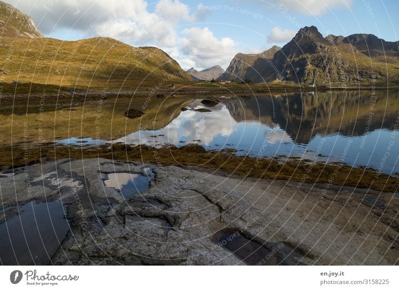 Windstill Ferien & Urlaub & Reisen Natur Landschaft Felsen Berge u. Gebirge Küste Fjord Norwegen Skandinavien Lofoten Haus ruhig Symmetrie Tourismus Ferne Algen