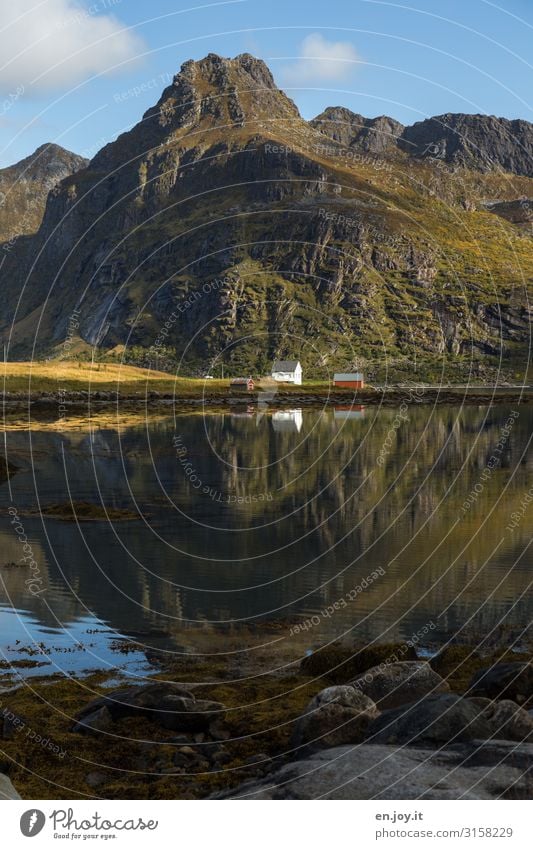 Naturverbunden Ferien & Urlaub & Reisen Ferne Freiheit Umwelt Landschaft Herbst Schönes Wetter Felsen Berge u. Gebirge Fjord Norwegen Skandinavien Lofoten Haus