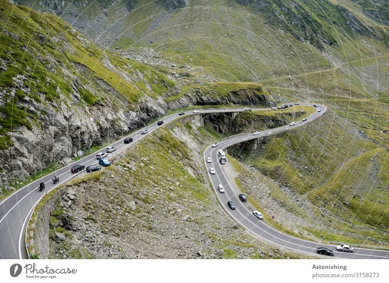 Transfagarasan 6 Umwelt Natur Landschaft Sommer Wetter Pflanze Gras Sträucher Moos Hügel Felsen Berge u. Gebirge Südkarpaten Karpaten Schlucht Rumänien Verkehr