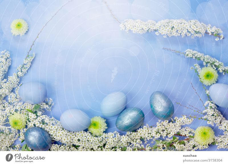 ostern (kommt bald) Ostern Osterei Osterdekoration Blume Blüte Flatlay hell-blau schön Tradition bemalte Ostereier arrangiert angeordnet Ostergrüße Textfreiraum