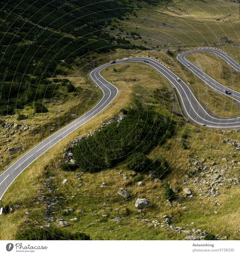 Transfagarasan 5 Umwelt Natur Landschaft Pflanze Luft Sommer Schönes Wetter Gras Sträucher Hügel Berge u. Gebirge Südkarpaten Karpaten Schlucht Rumänien Verkehr