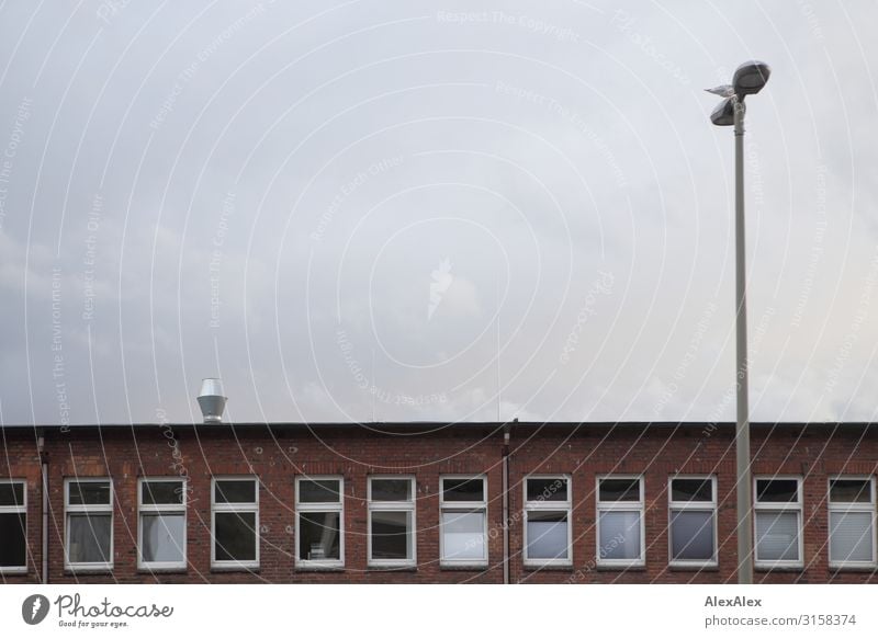 HH UT 19 | Backsteinbürohaus mit Laterne Büro Umwelt Landschaft Herbst Winter schlechtes Wetter Mauer Wand Fassade Straßenbeleuchtung Fenster trist Wolken