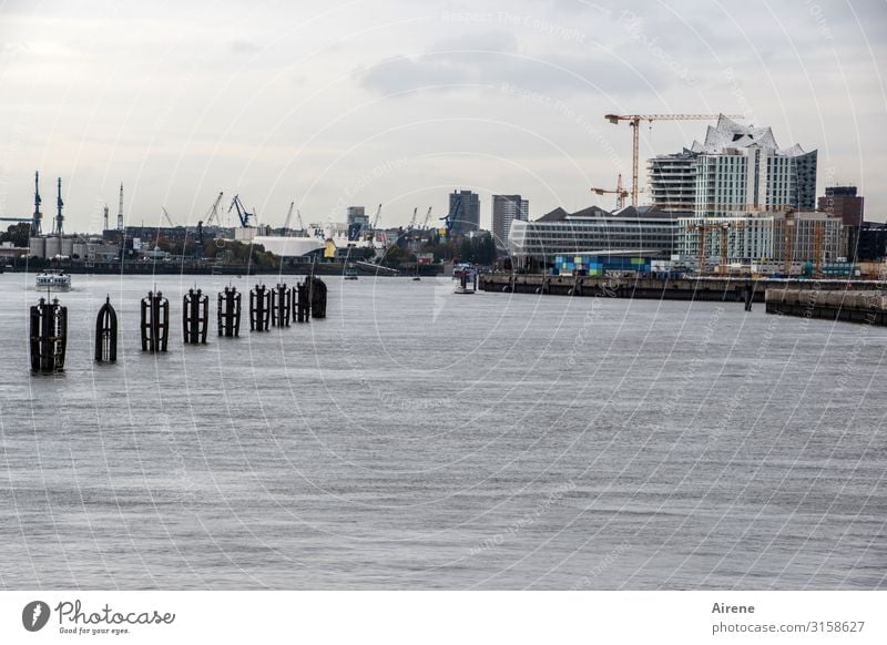 Harmonie an der Elbe | UT Hamburg Kran Himmel schlechtes Wetter Fluss Hamburger Hafen Hafenstadt Skyline Sehenswürdigkeit Elbphilharmonie Schifffahrt bauen