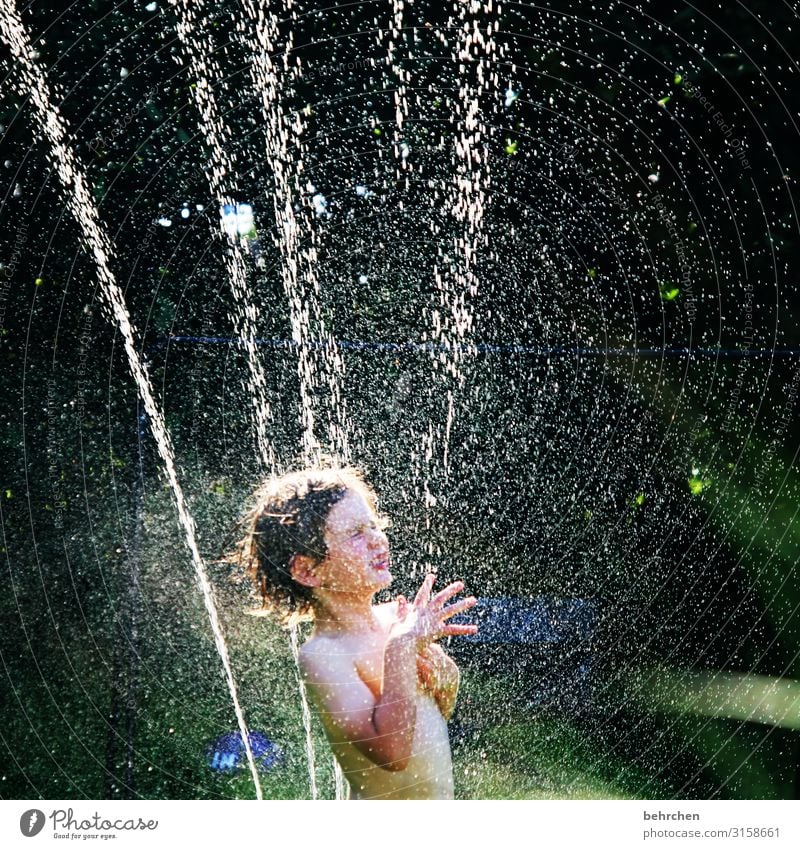 hier riechts doch nach... | summerfeeling Kind Junge Porträt Spielen Fröhlichkeit Glück Kindheit Freude lachen Sommer Wasser baden toben glücklich Zufriedenheit