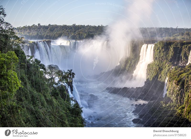 Iguassu Ferien & Urlaub & Reisen Tourismus Ausflug Umwelt Natur Landschaft Pflanze Wolkenloser Himmel Schönes Wetter Wald Urwald Fluss Wasserfall