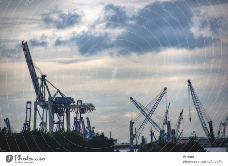 Hamburg Blues | UT Hamburg Himmel Wolken Hamburger Hafen Hafenstadt Sehenswürdigkeit Kran Hafenkran Arbeit & Erwerbstätigkeit Bekanntheit eckig hoch kalt