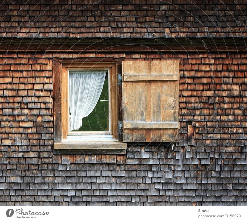 Fenster zum Glück Holzhaus Hütte Fensterladen Schönes Wetter Mauer Wand Glas Häusliches Leben alt authentisch natürlich braun Senior ästhetisch Einsamkeit