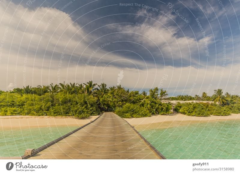 Steg ins Paradies Ferien & Urlaub & Reisen Ausflug Abenteuer Freiheit Sommer Strand Meer Insel Natur Sand Wasser Himmel Wolken Horizont exotisch Palmenstrand