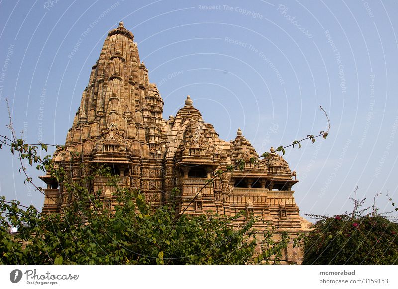 Tempel hinter Laub, Khajuraho Ferien & Urlaub & Reisen Natur Pflanze Himmel Blatt Gebäude Architektur ästhetisch Glaube Religion & Glaube