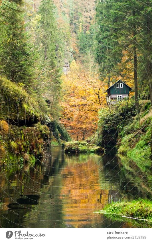 Elbsandsteingebirge, Edmundsklamm Ferien & Urlaub & Reisen Tourismus Ausflug Berge u. Gebirge wandern Umwelt Natur Landschaft Pflanze Wasser Herbst Baum Gras