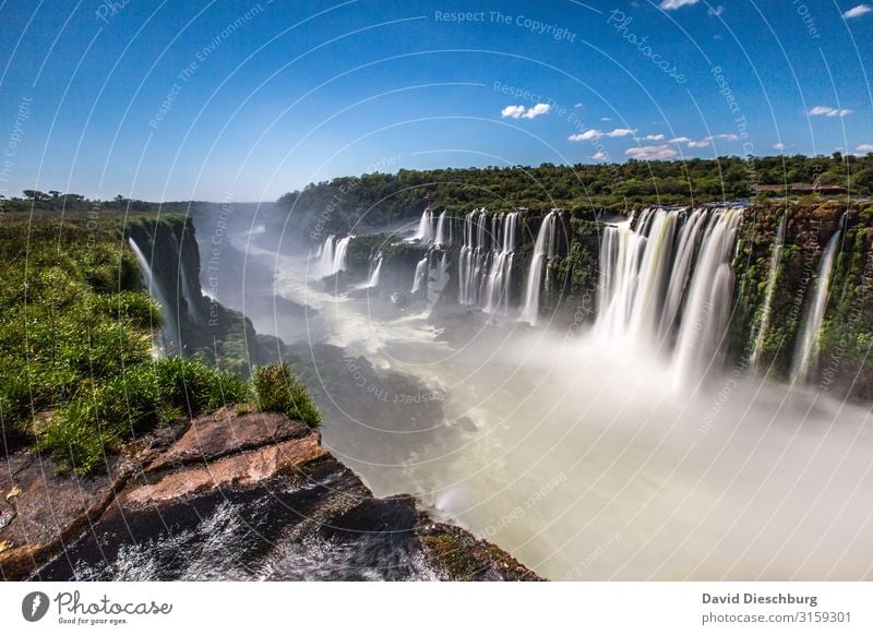 Iguazu Ferien & Urlaub & Reisen Tourismus Abenteuer Sightseeing Sommerurlaub Umwelt Natur Landschaft Pflanze Tier Himmel Wolken Frühling Schönes Wetter Baum