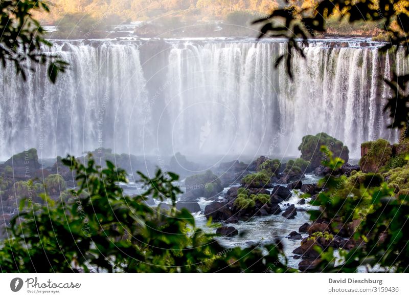 Iguassu Ferien & Urlaub & Reisen Ausflug Abenteuer Sightseeing Expedition Natur Landschaft Pflanze Tier Wasser Schönes Wetter Wald Urwald Wellen Fluss