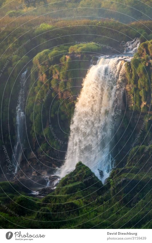 Iguazu Ferien & Urlaub & Reisen Tourismus Abenteuer Expedition Umwelt Natur Landschaft Pflanze Tier Wasser Schönes Wetter Urwald Schlucht Wellen Fluss