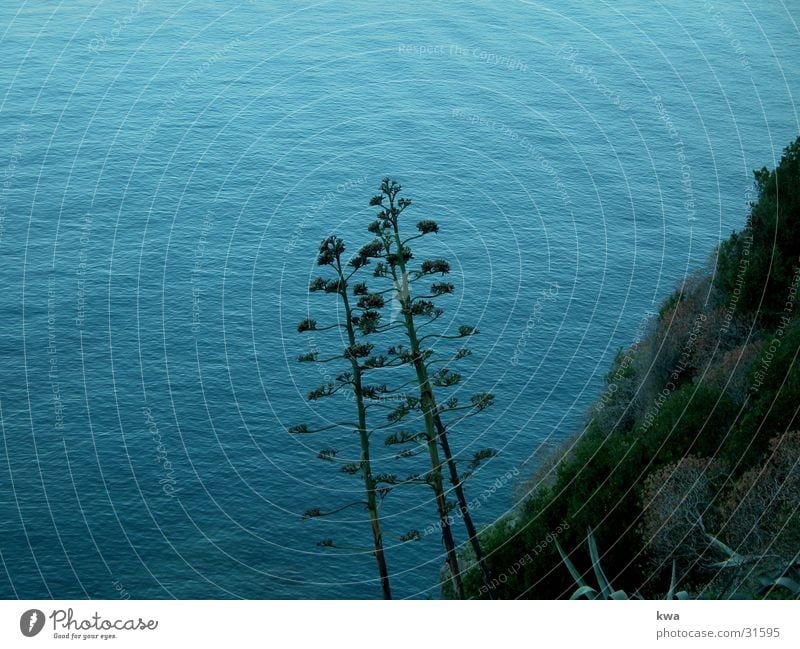 CINQUE TERRE Küste Meer