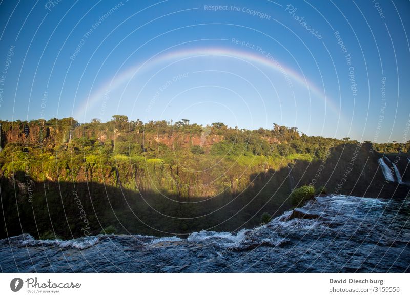 Regenbogen am Iguassu Ferien & Urlaub & Reisen Tourismus Sightseeing Natur Landschaft Wasser Wolkenloser Himmel Frühling Sommer Schönes Wetter Pflanze Baum Wald