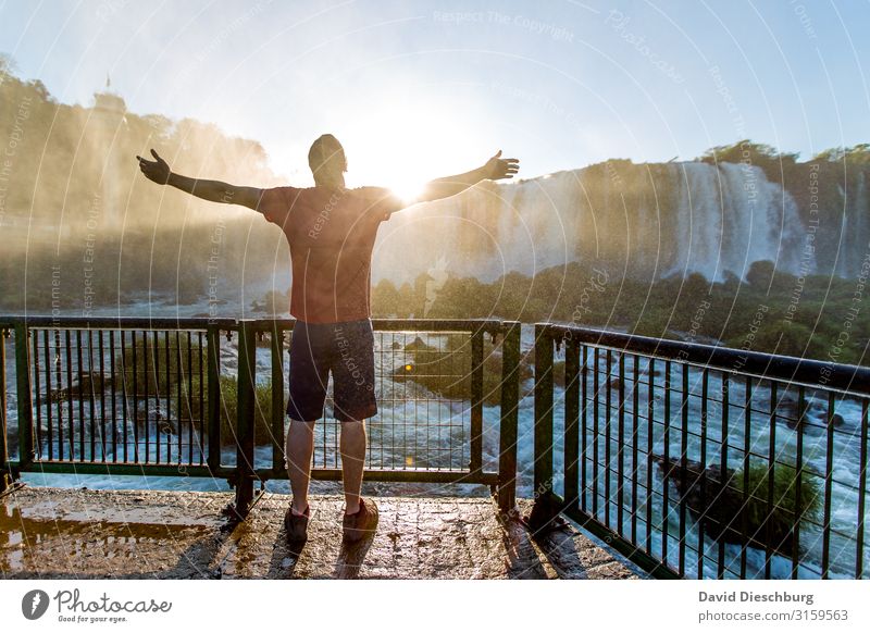 Natur genießen maskulin 1 Mensch Umwelt Landschaft Pflanze Tier Wasser Wolkenloser Himmel Schönes Wetter Wald Urwald Fluss Wasserfall Stress Erholung erleben