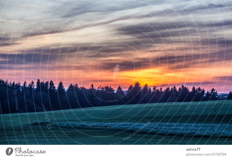 from dusk till dawn Umwelt Natur Landschaft Himmel Wolken Sonnenaufgang Sonnenuntergang Klima Klimawandel Schönes Wetter Feld Wald Hügel Stimmung ruhig Energie