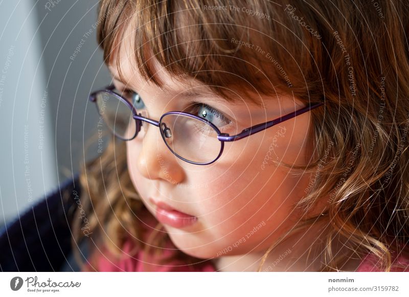 Porträt eines jungen blauäugigen blonden Mädchens mit Brille schön Kind Baby Kindheit Auge Denken klein niedlich Konzentration unschuldig Licht Tochter ernst