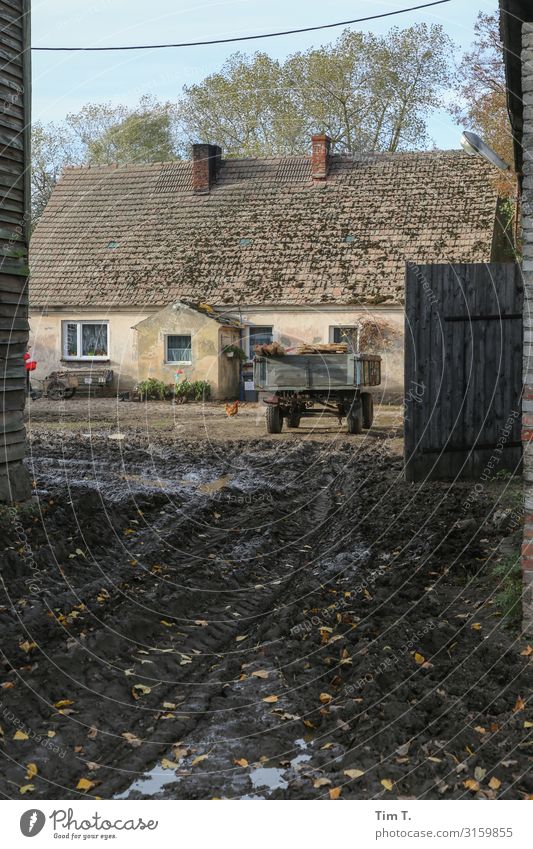 Bauernhof Polen Haus Bauwerk Gebäude Häusliches Leben Haushuhn Anhänger Farbfoto Außenaufnahme Menschenleer Tag