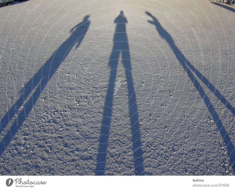 Shadows Mensch Menschengruppe Sonne Sun People Shadows Schatten