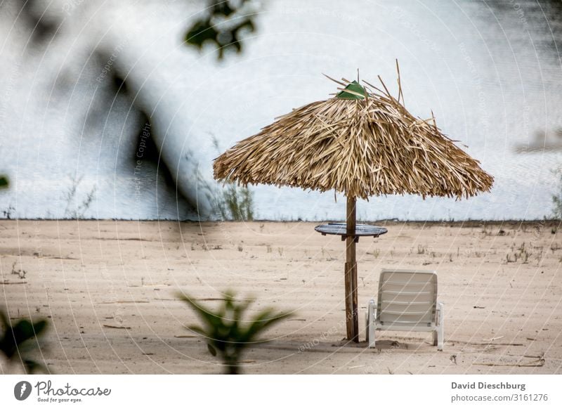 Platz am Rio Negro Ferien & Urlaub & Reisen Tourismus Ferne Expedition Sommerurlaub Sonnenbad Landschaft Wasser Pflanze Baum Urwald Küste Flussufer Strand Bucht