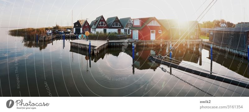 Das schönste Ende der Welt Umwelt Natur Wasser Himmel Horizont Sonne Herbst Schönes Wetter Ostsee ruhig Idylle Ferne Ahrenshoop Fischerdorf Hafen Künstlerdorf