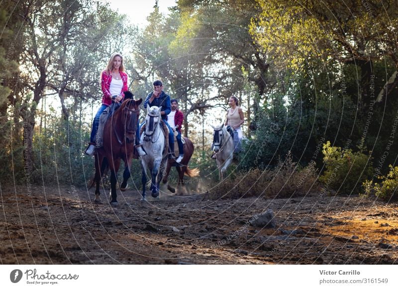 Eine Gruppe von Menschen, die ein Pferd in der Natur reiten. Lifestyle elegant Stil Freizeit & Hobby Reiten maskulin feminin Junge Frau Jugendliche Junger Mann