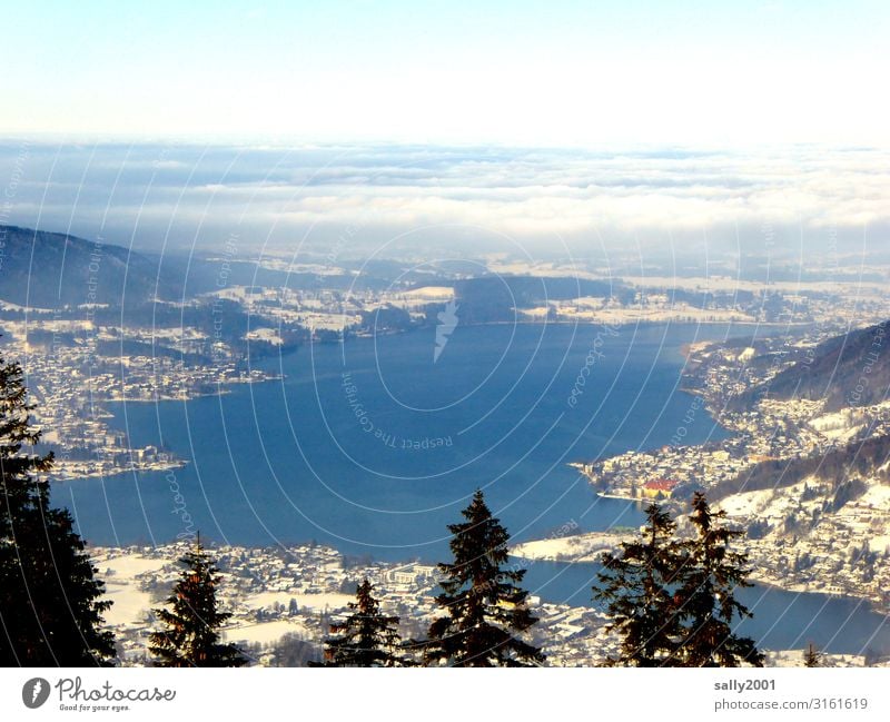 Wochenendausblick... Landschaft Winter Baum Alpen Berge u. Gebirge See Tegernsee Erholung Ferien & Urlaub & Reisen Freiheit Freizeit & Hobby Horizont Ferne